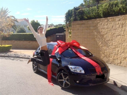 Red 90cm satin bow (with 2x5m straps)